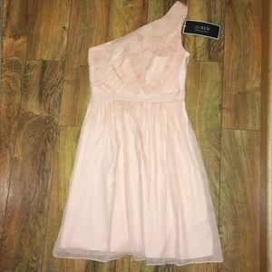 J. Crew Special Occasion Blush Dress